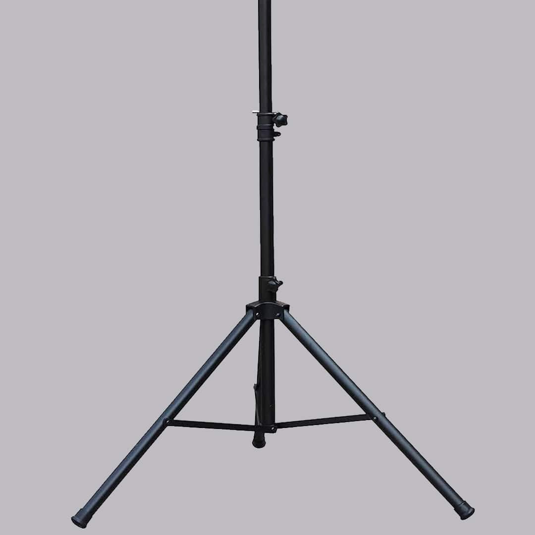 0002s0000LaneyLaneyLTS