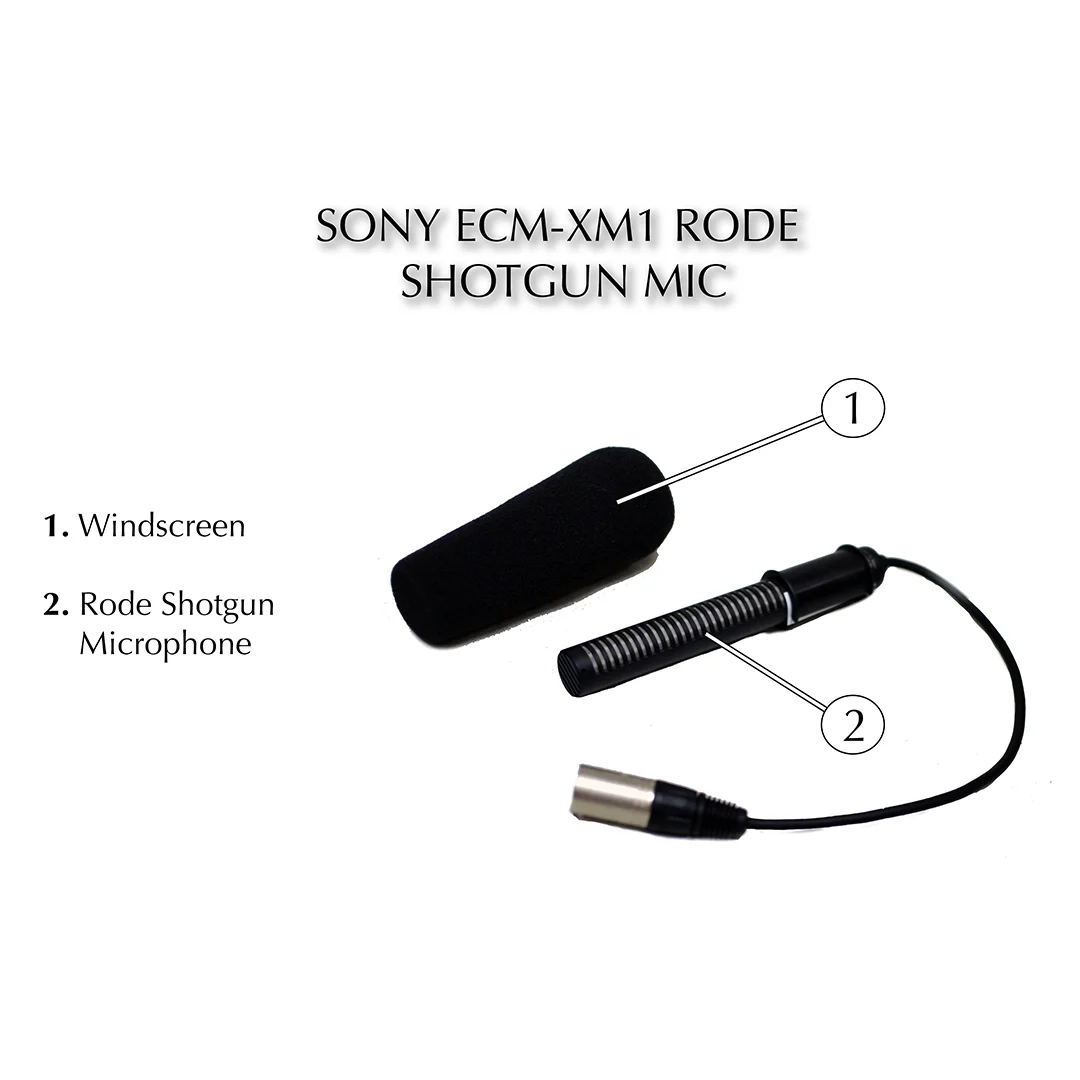 Sony ECM XM1 02