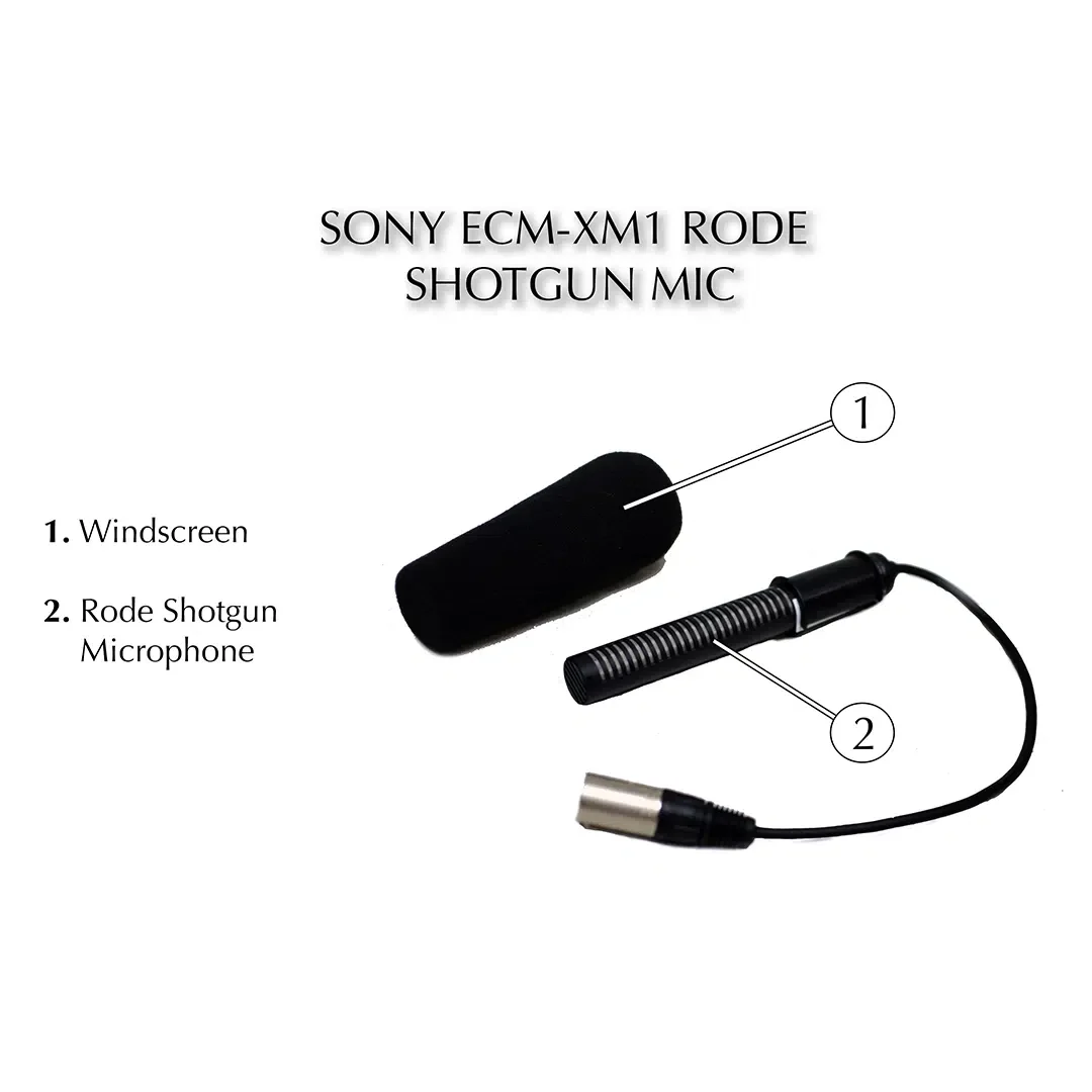 Sony ECM XM1 02